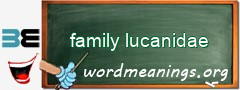 WordMeaning blackboard for family lucanidae